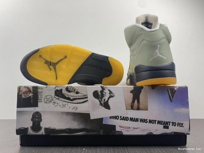 Boostmaster lin DC7501-300 5 